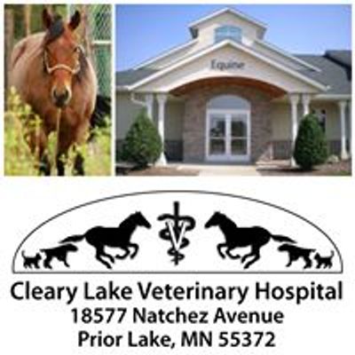 Cleary Lake Veterinary Hospital Equine