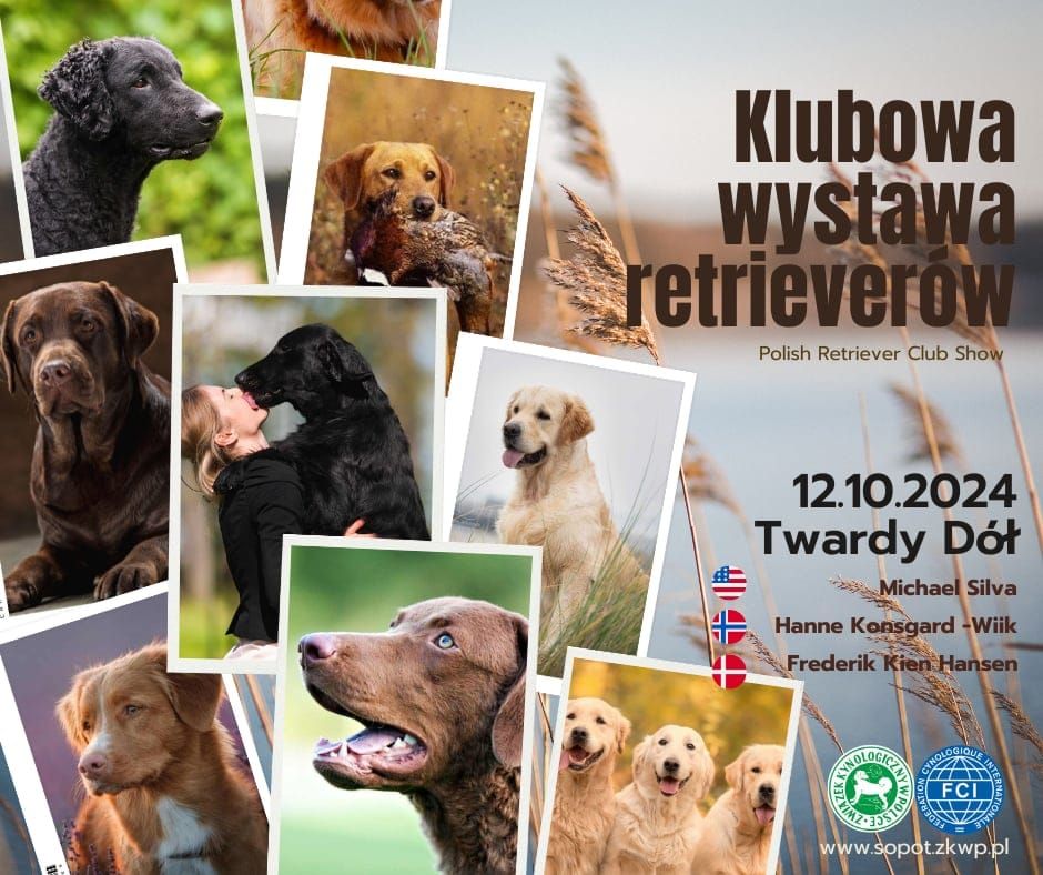 Klubowa Wystawa Retriever\u00f3w \/ Polish Retriever Club Show 2024 -12.10.2024