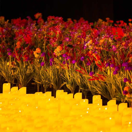 Secret Single Party - Soir\u00e9e c\u00e9libataires