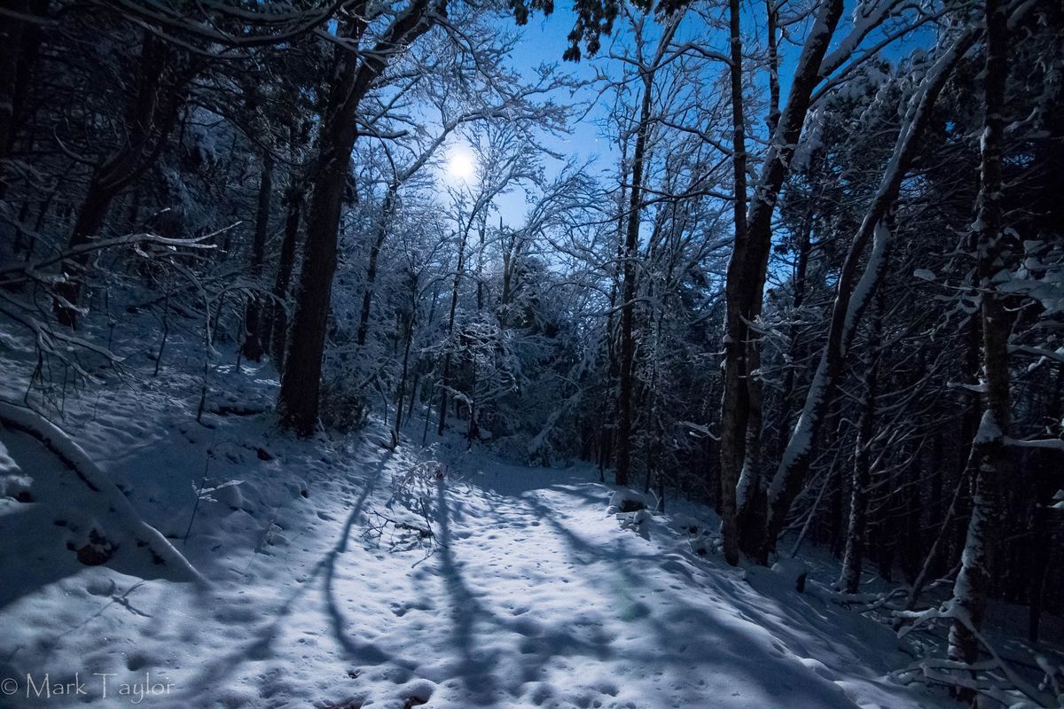 Wolf Moon Hike