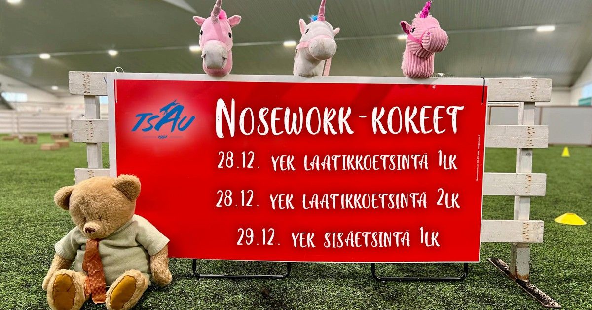 Nosework-kokeet 28.-29.12.2024