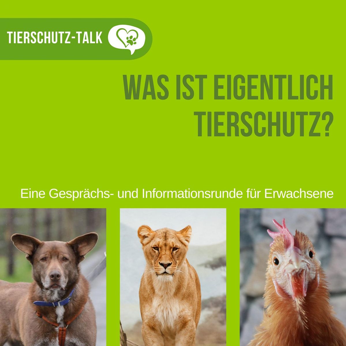 Tierschutz-Talk