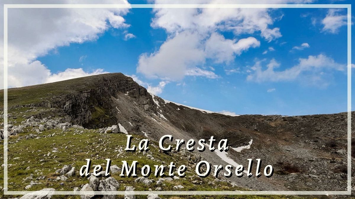 La Cresta fiorita del Monte Orsello (2043 m)