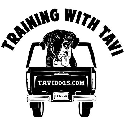 Training with Tavi