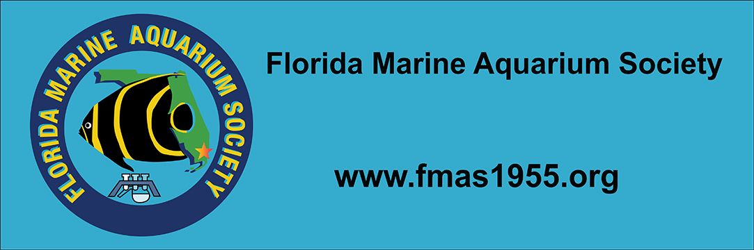 FMAS March 8, 2025 Meeting