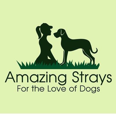 Amazing Strays Rescue