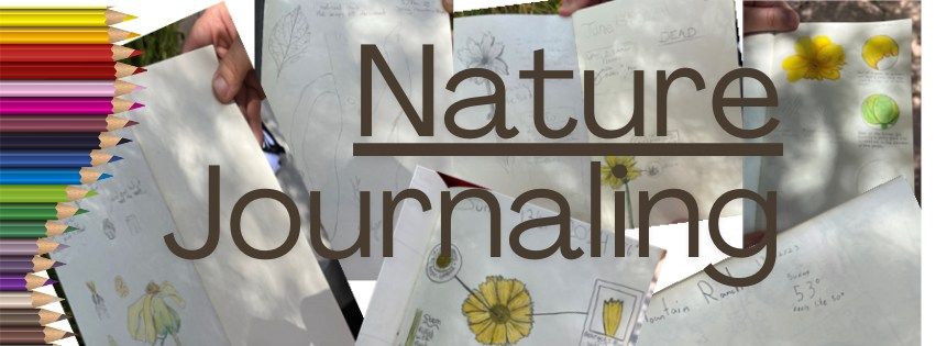 Nature Journaling