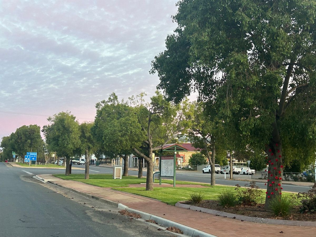 Winter Markets in the Main