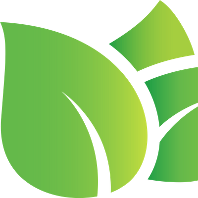 World Natural Hair Health & Beauty Events