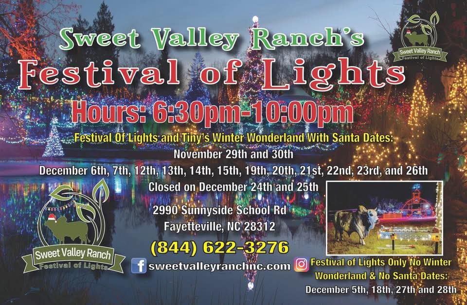 Festival of Lights