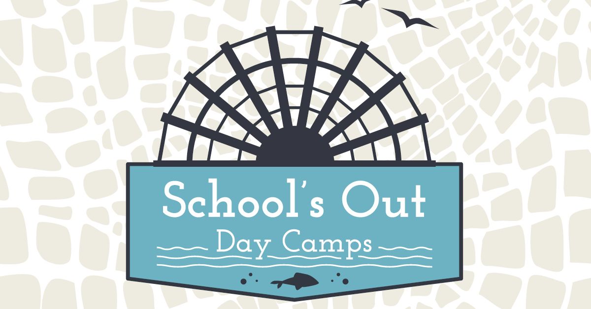 School's Out Day Camps