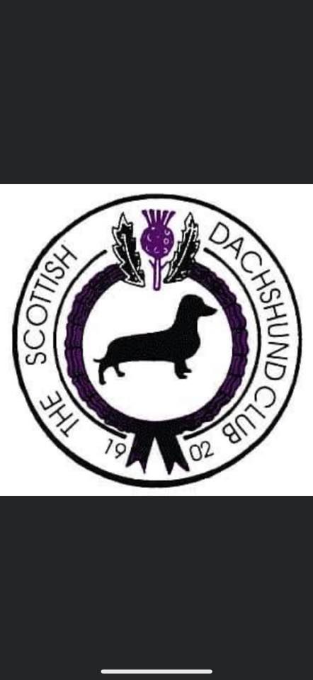 Scottish Dachshund Club Champ Show 2025 