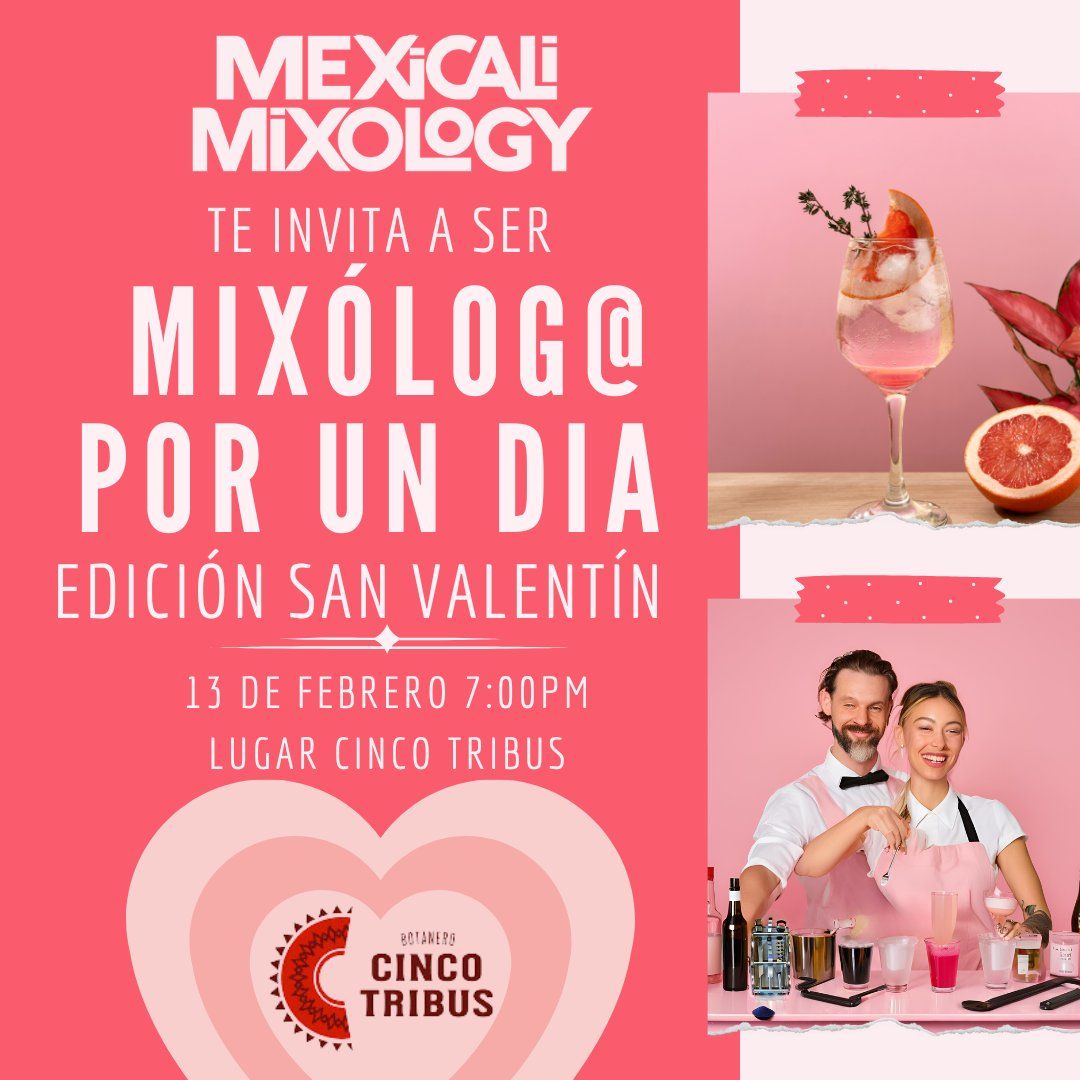 Mix\u00f3log@ por un d\u00eda edici\u00f3n san valentin 