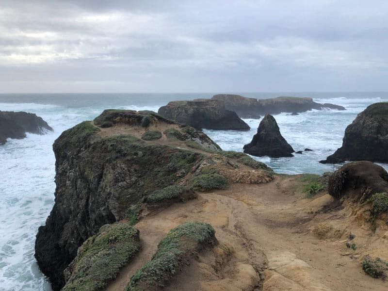 Mendocino Whale Festival