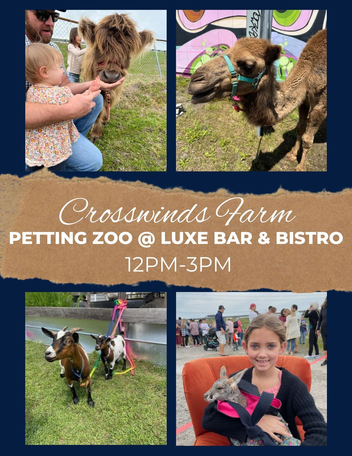 Petting Zoo @ Luxe Bar & Bistro