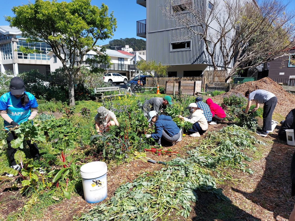 Community Farm Working Bee