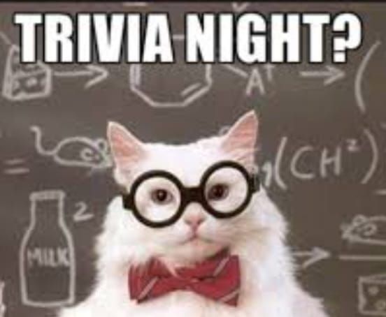 Cat Trivia Night