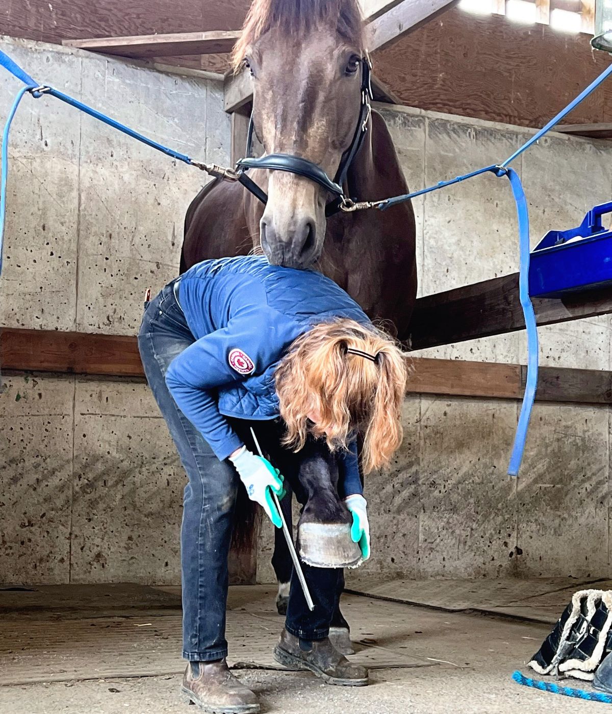 Hoof Trimming Clinic - Saskatoon, SK - Oct 3-6, 2024