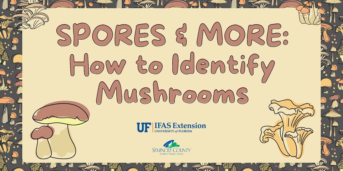 Spores and More: Mushroom ID Hike AFTERNOON SESSION