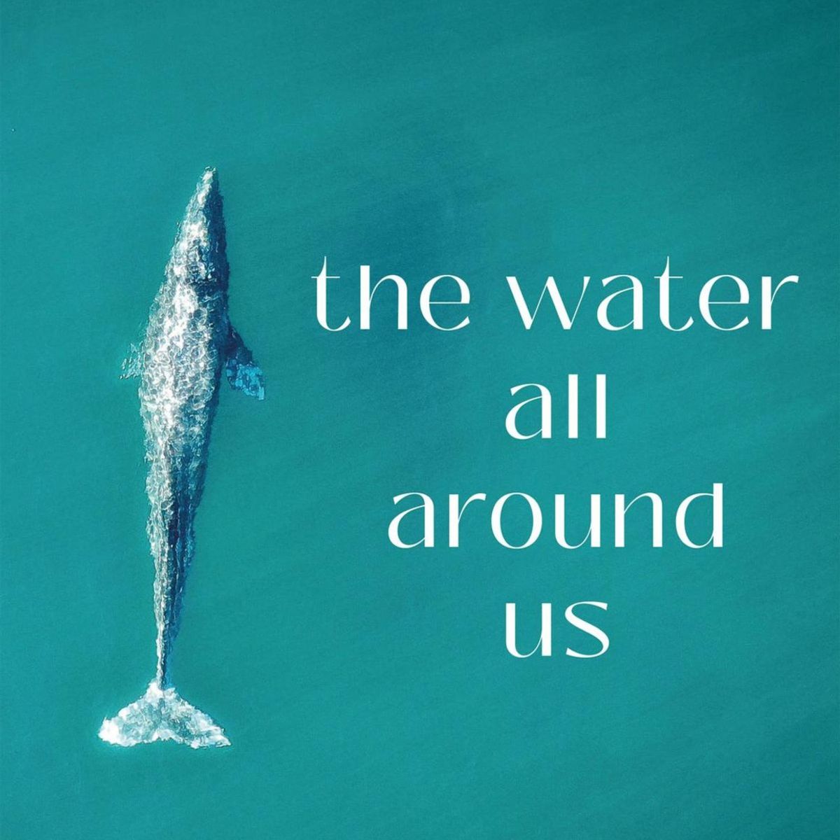 Autumn Authors: The Water All Around Us With Lynn Michell