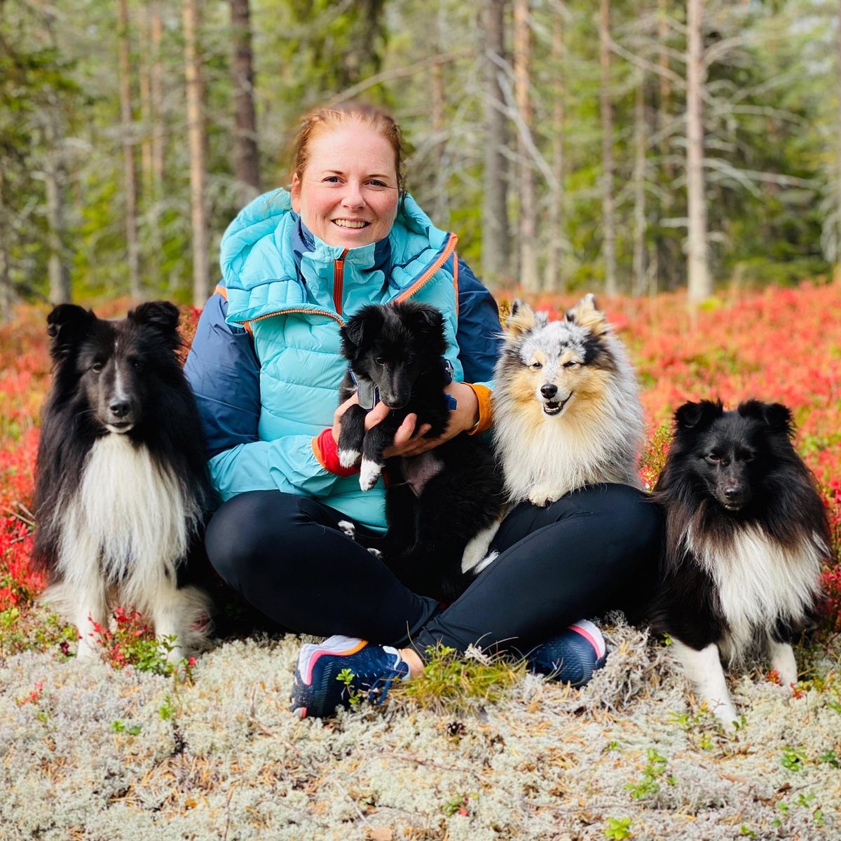 Agility kurs med Irene Yrstad!