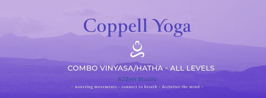 Vinyasa and Hatha - All Levels