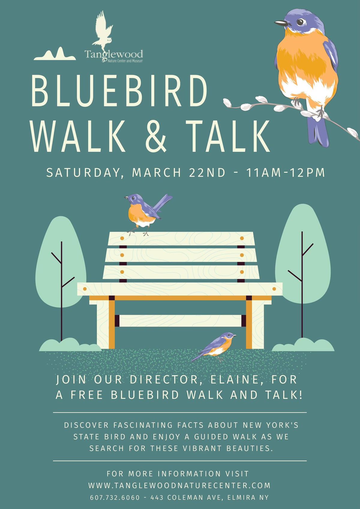 Bluebird Walk & Talk