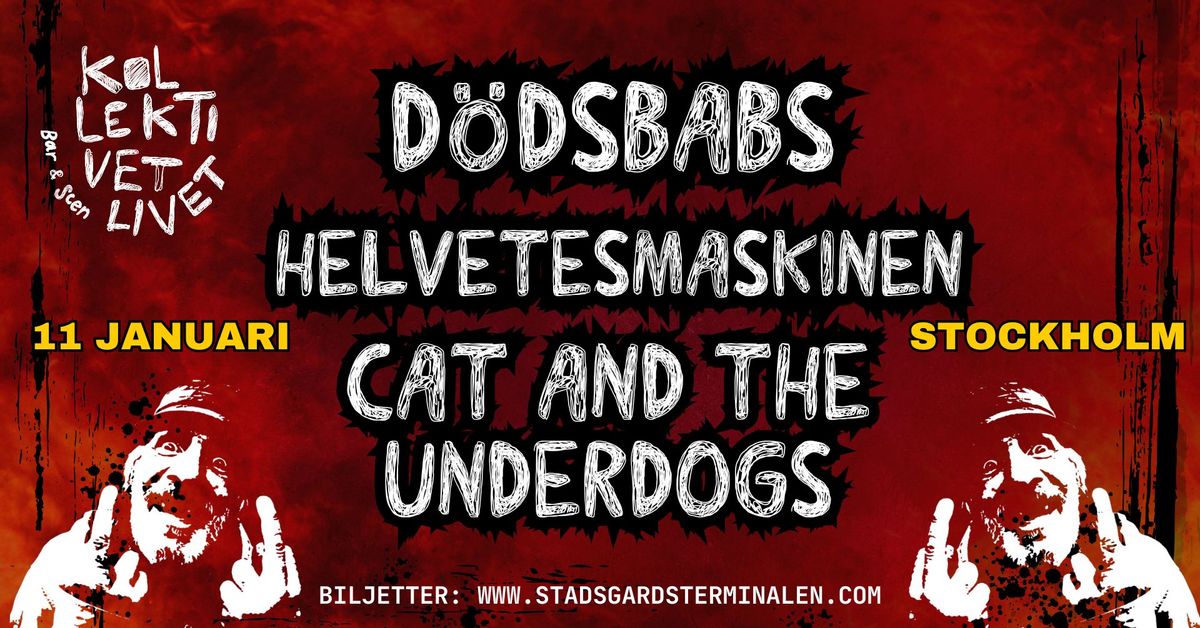 D\u00f6dsbabs | Cat and the Underdogs | Helvetesmaskinen | Live p\u00e5 Kollektivet Livet, Stockholm