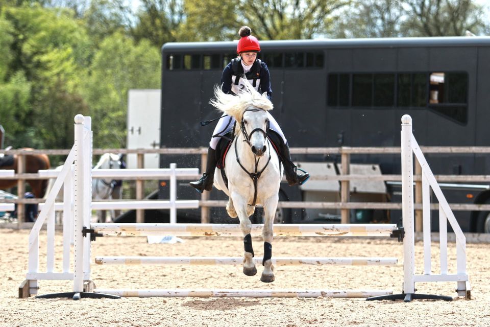 Clear Round Show Jumping