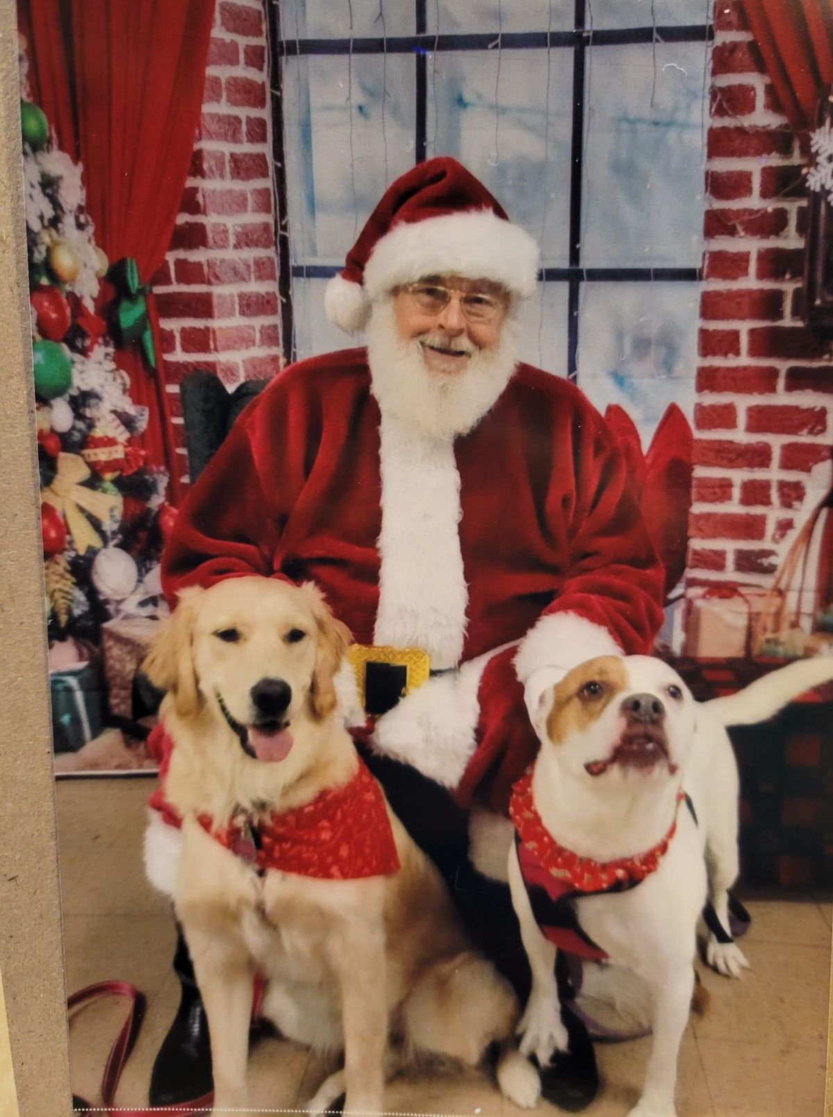 Pet Pictures with Santa Paws