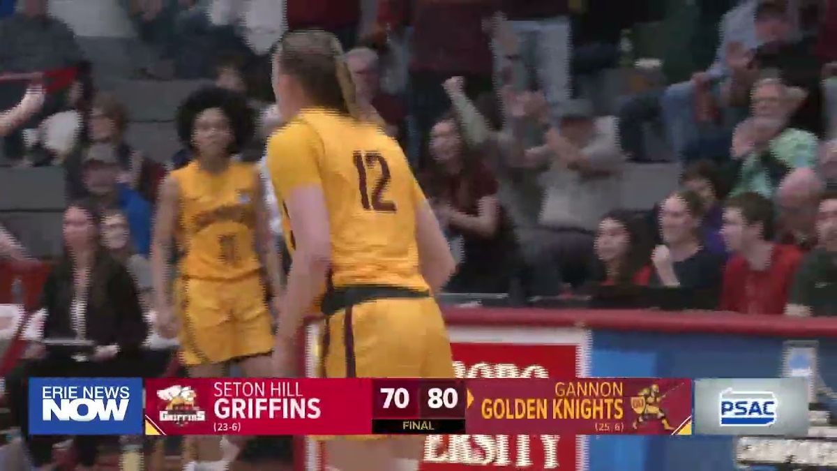Seton Hill Griffins vs. Gannon Golden Knights