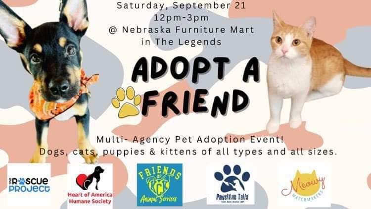 Adopt A Friend! 