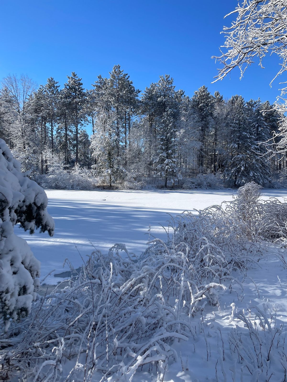 A Winter's Rest: Winter Solstice Mini-Retreat in the Yurt 