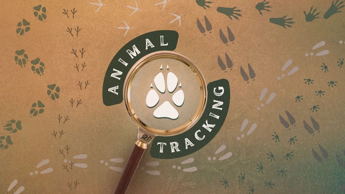 Animal Tracking