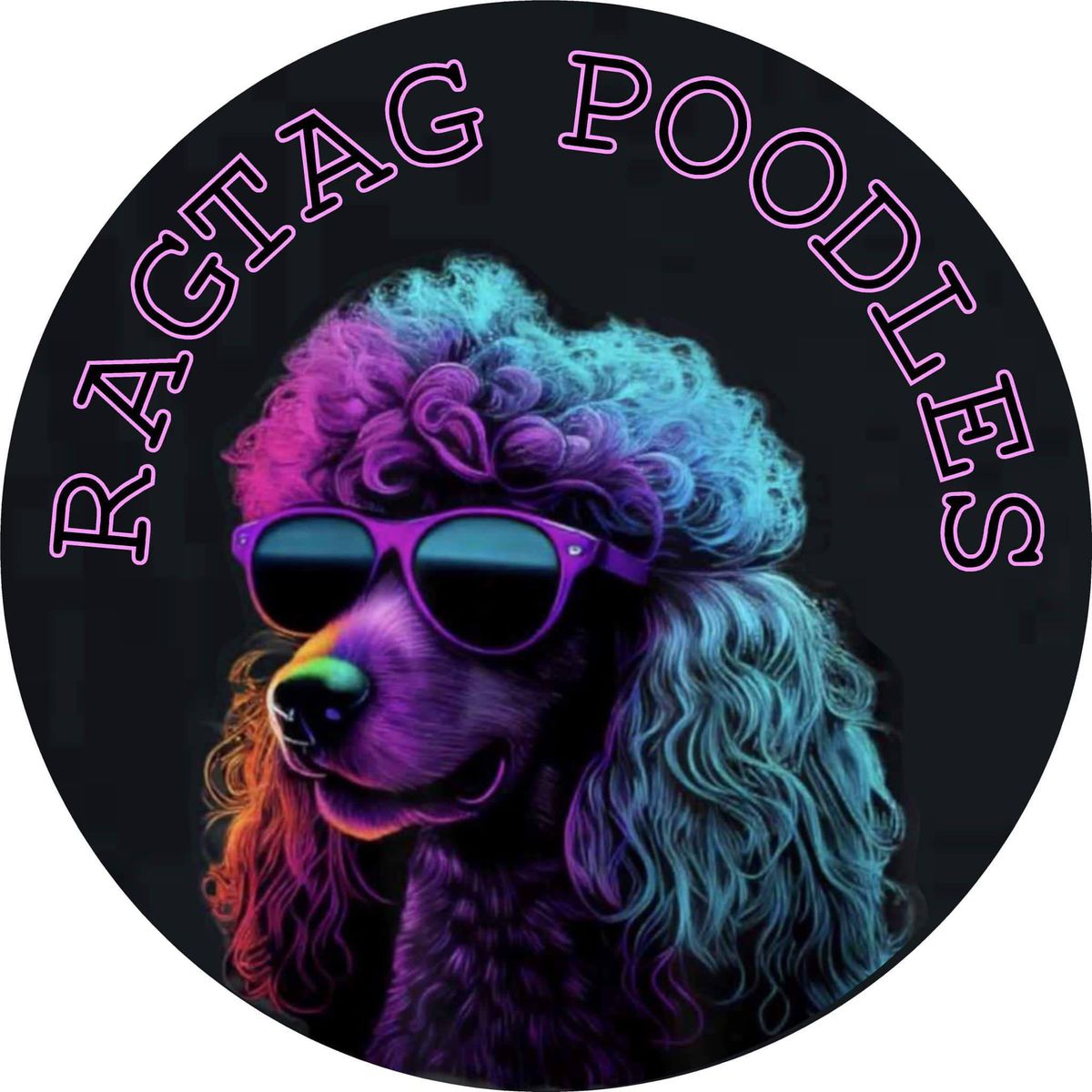 THE RAGTAG POODLES