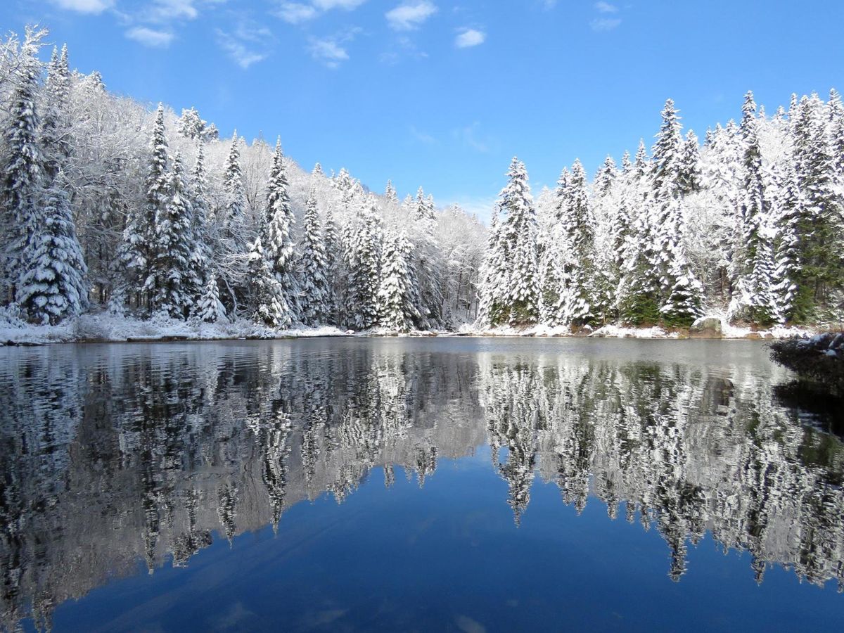 Randonn\u00e9e Parc nature Shawinigan! 