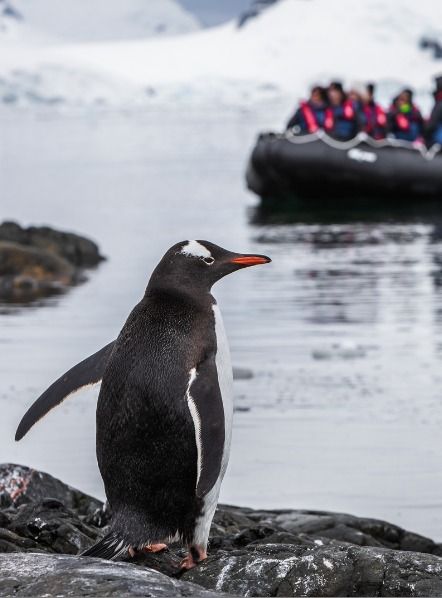 Exclusive Information Session with Aurora Expeditions