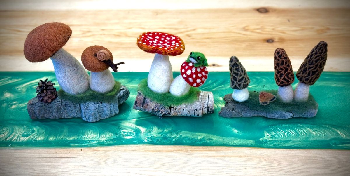 Needle Felted Mushrooms for Beginners - $50