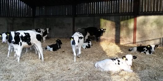 Farming: What you Want to Know but are Afraid to Ask!