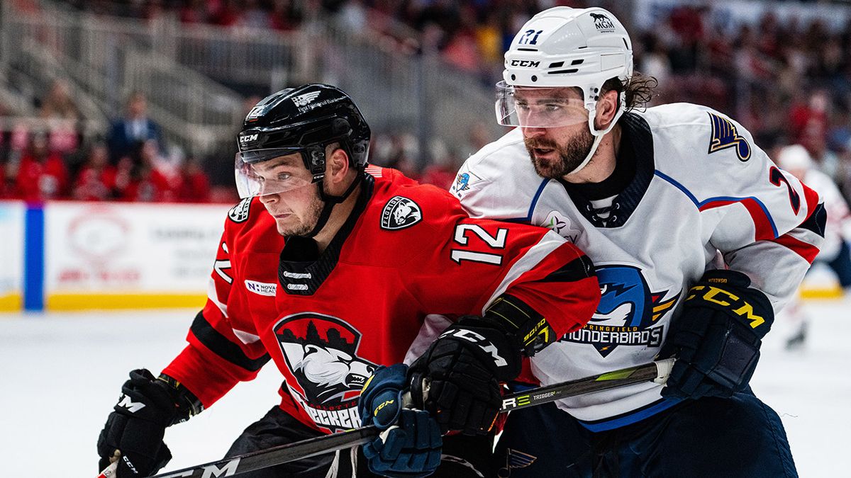 Charlotte Checkers at Springfield Thunderbirds