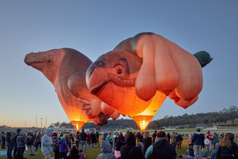 SKYWHALES: EVERY HEART SINGS