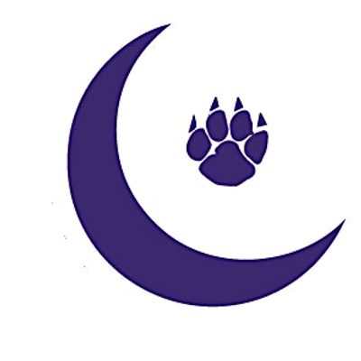 Northwestern University's McSA