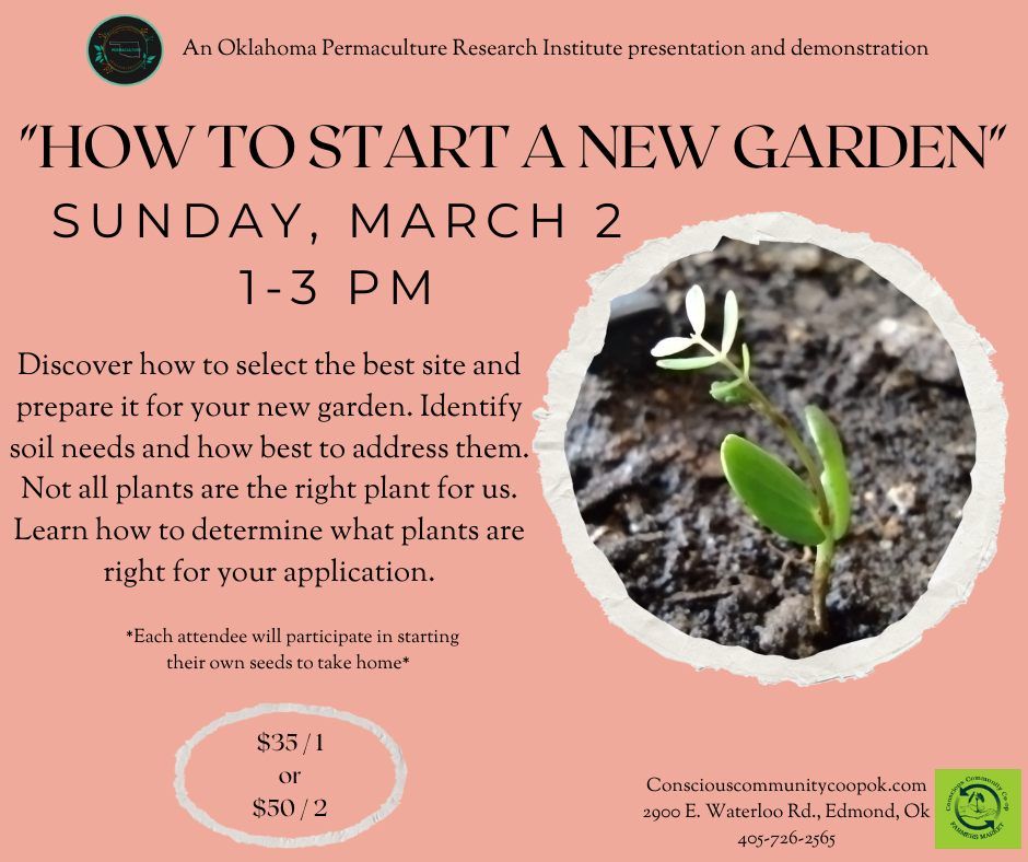 How To Start A New Garden