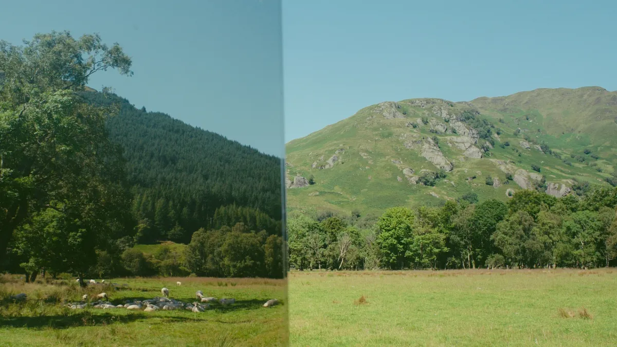 Sam Gellaitry in Paris