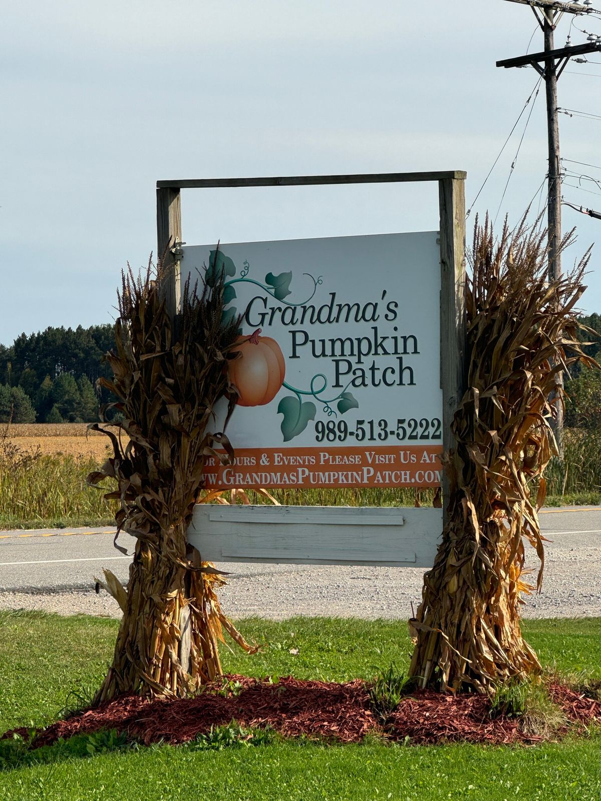 Sketching at Grandma\u2019s Pumpkin Patch