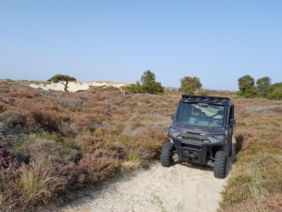 Nature tour in an all-terrain vehicle