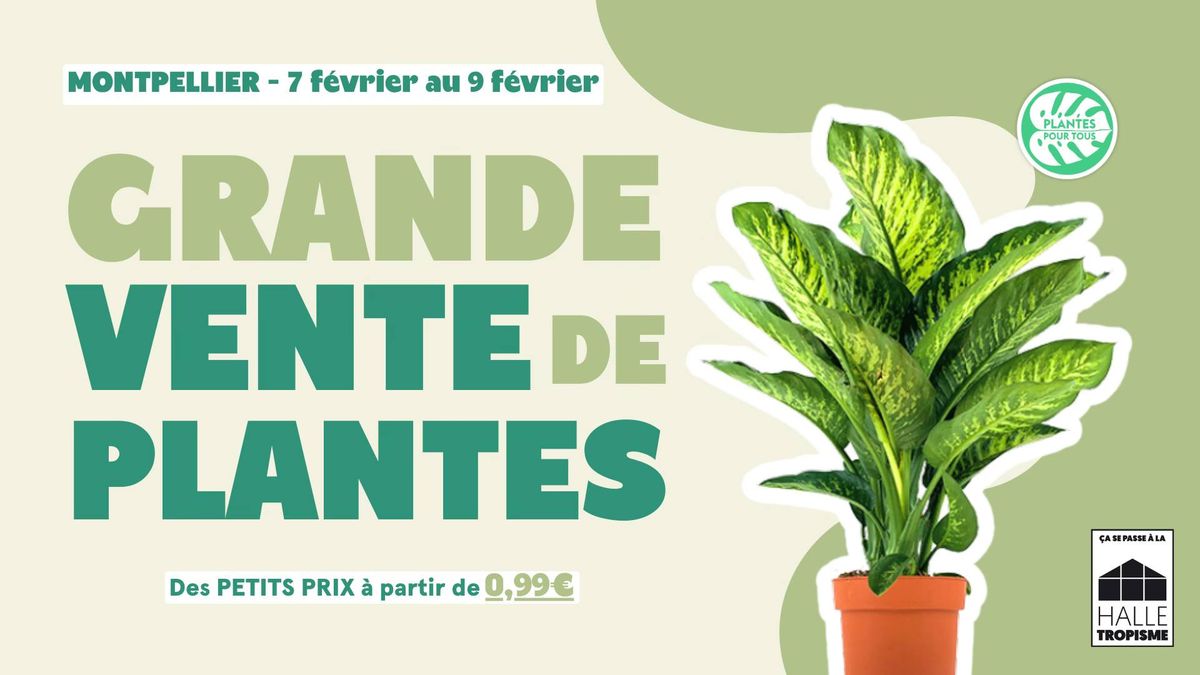 Grande Vente de Plantes Montpellier