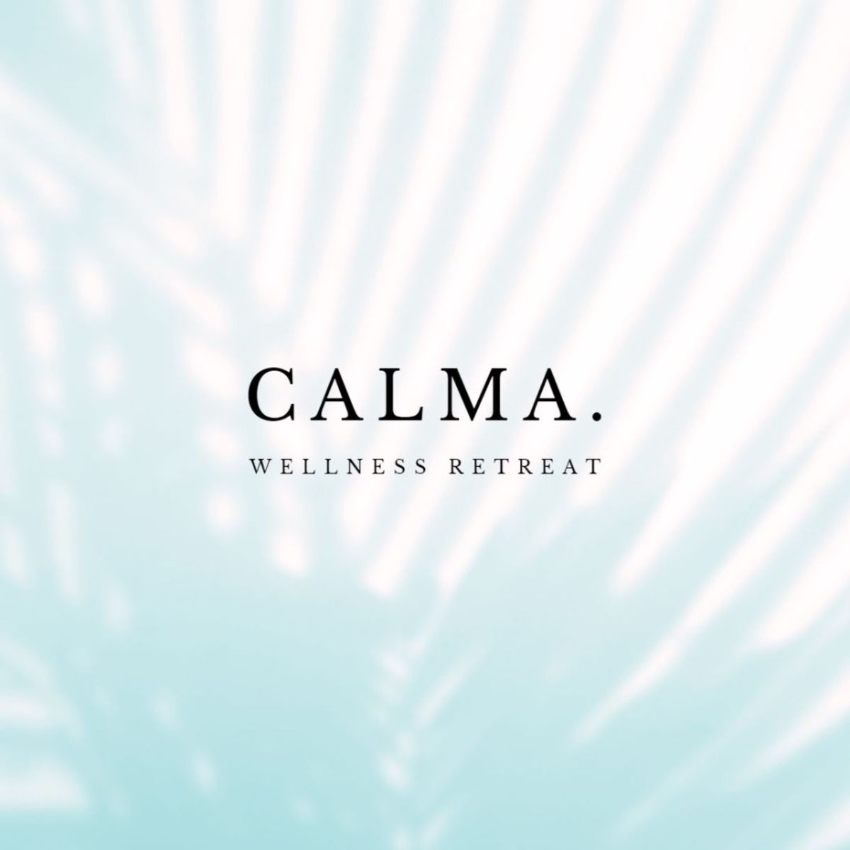 Calma Retreat - 3rd November 2024