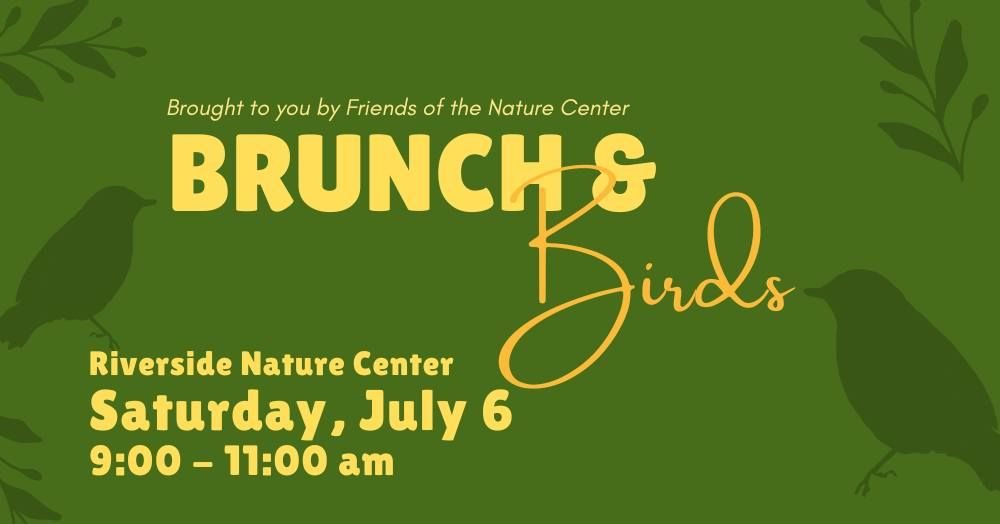 Brunch & Birds