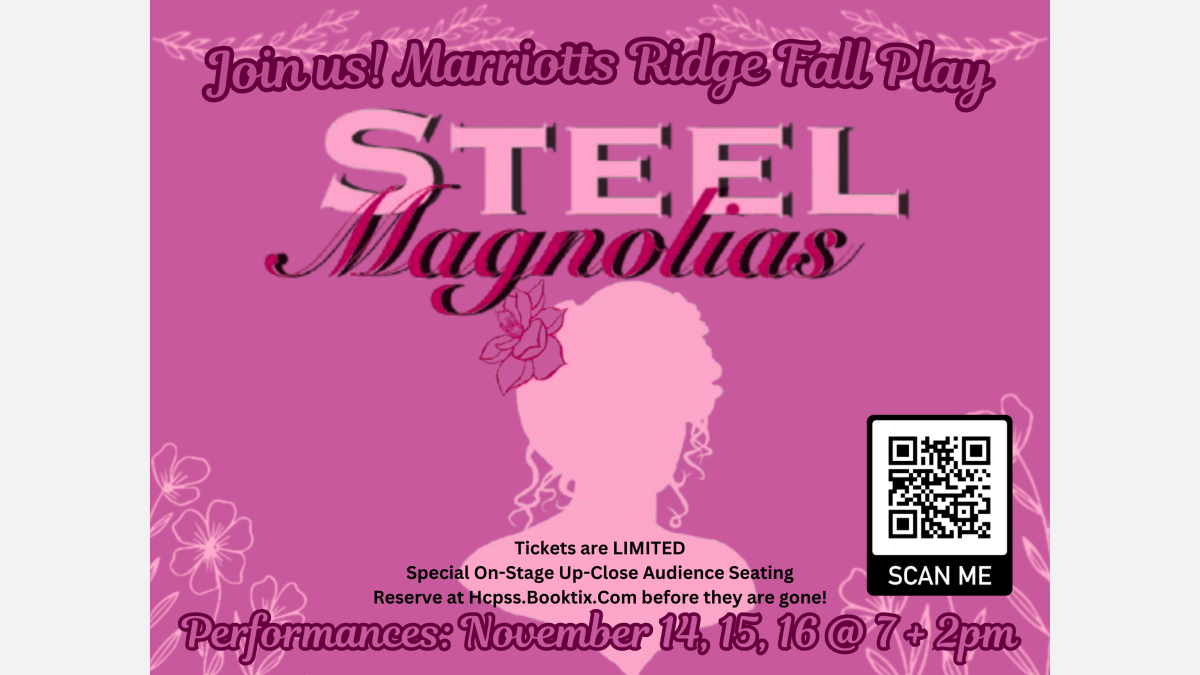 Steel Magnolias - The Play at Blue Ridge Community Theater